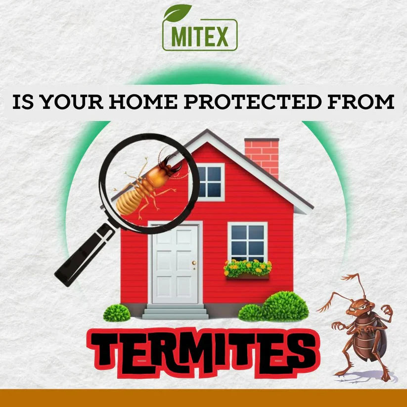 Ultimate Anti-Termite Killer Spray- (BUY 1 GET 2 FREE)